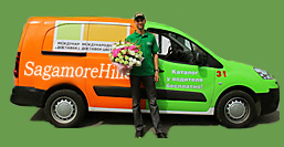 Sagamore Hills Flowers Delivery Truck